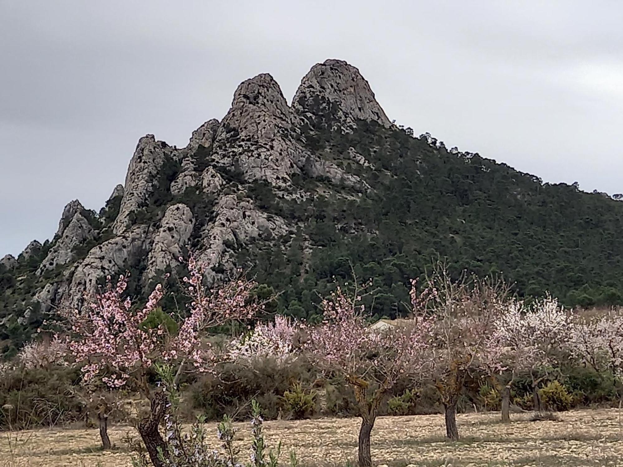 비예나 Hacienda Cabreras 아파트 외부 사진